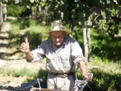 Wine is a living thing