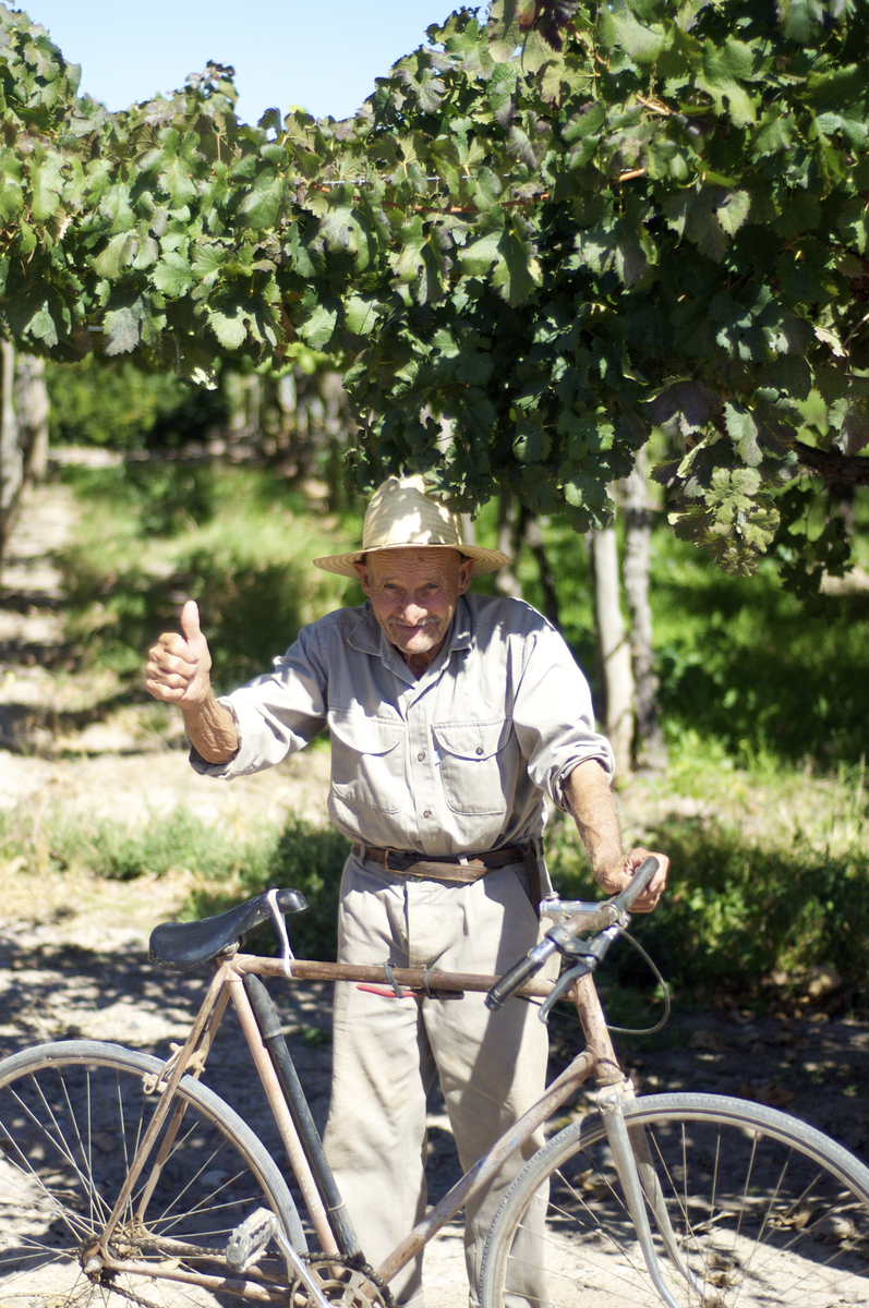 Wine is a living thing Wine is a living thing