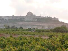 Support our heritage vines