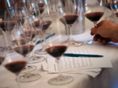 The superior 2017 Maltese vintage