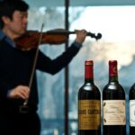 violin and wine classes