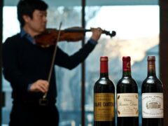 A Case for Wine (and Violin) Classes